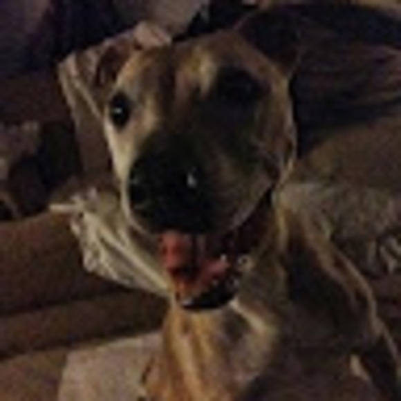 Meet your Posher, Daisha - Picture 1 of 1